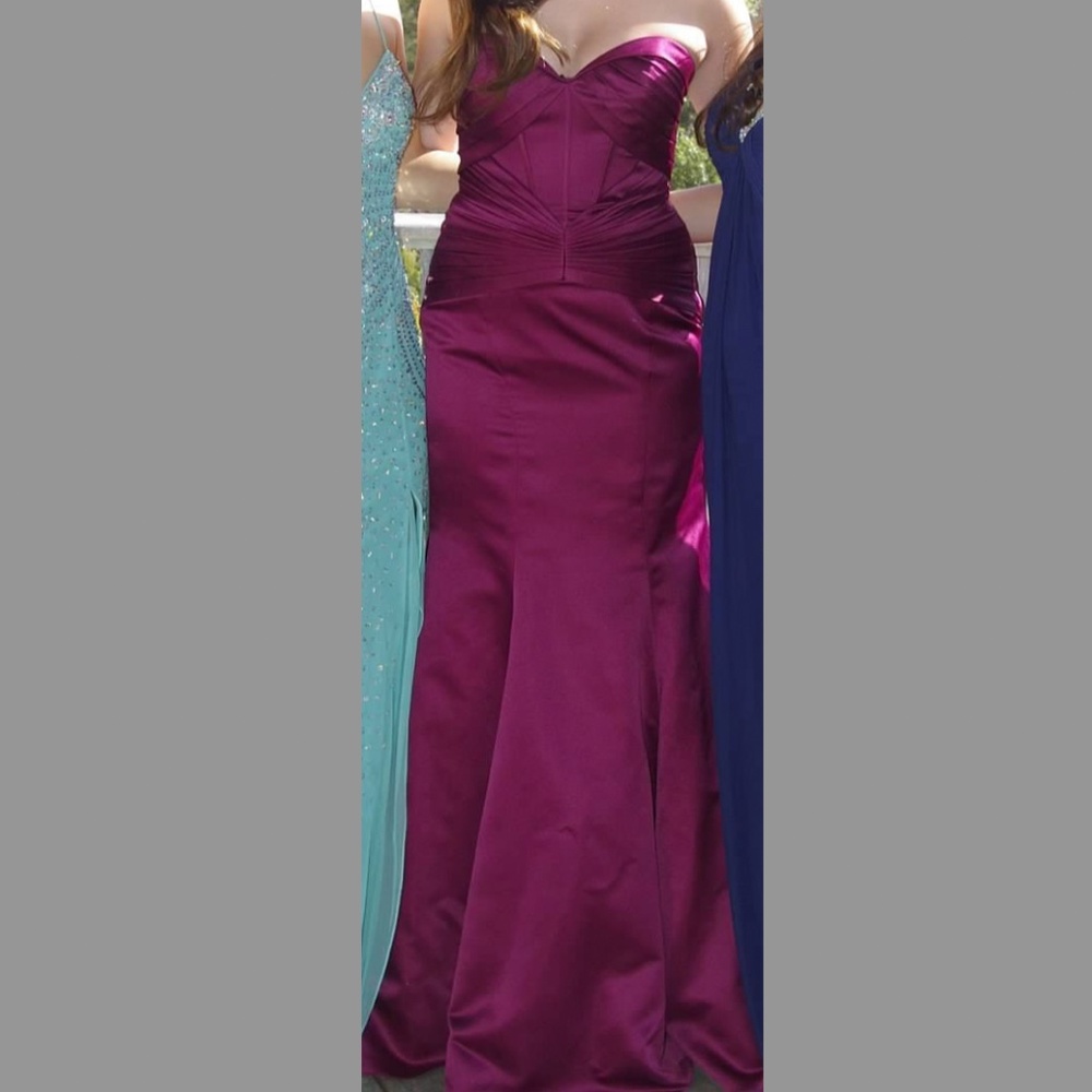 Zac Posen Dress
